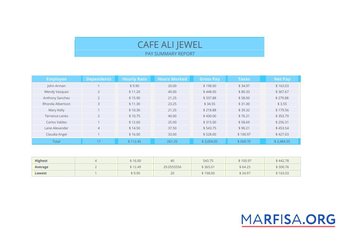 Realistic Pay summary report pay stub sample